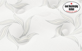 Sealy Performance Plush Cover Ghi