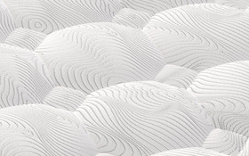 Sealy Waltham Advantage Cover