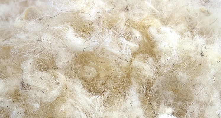 Image link to 'What Natural Fillings Are in Mattresses?' advice page